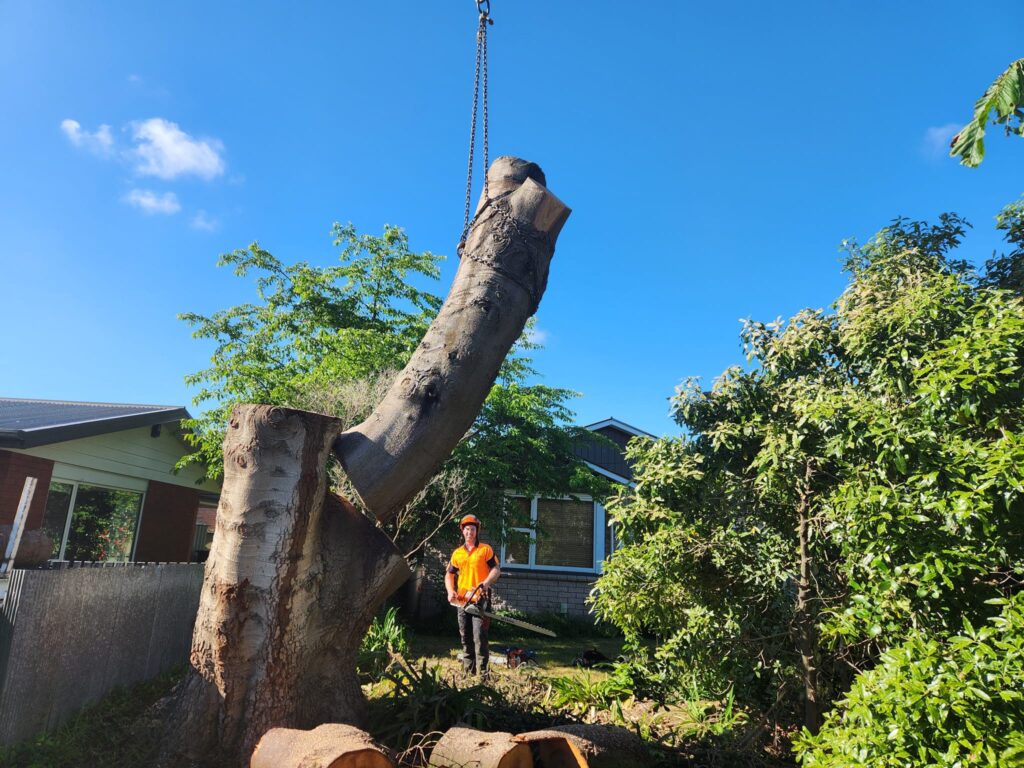 Crane lifting a large trunk section during tree removal beside a house in Lincoln.