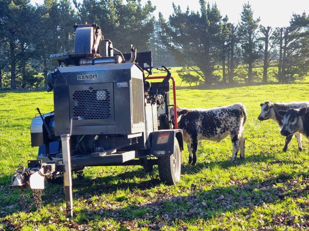 Bandit wood chipper parked in a paddock with curious cattle standing beside it.