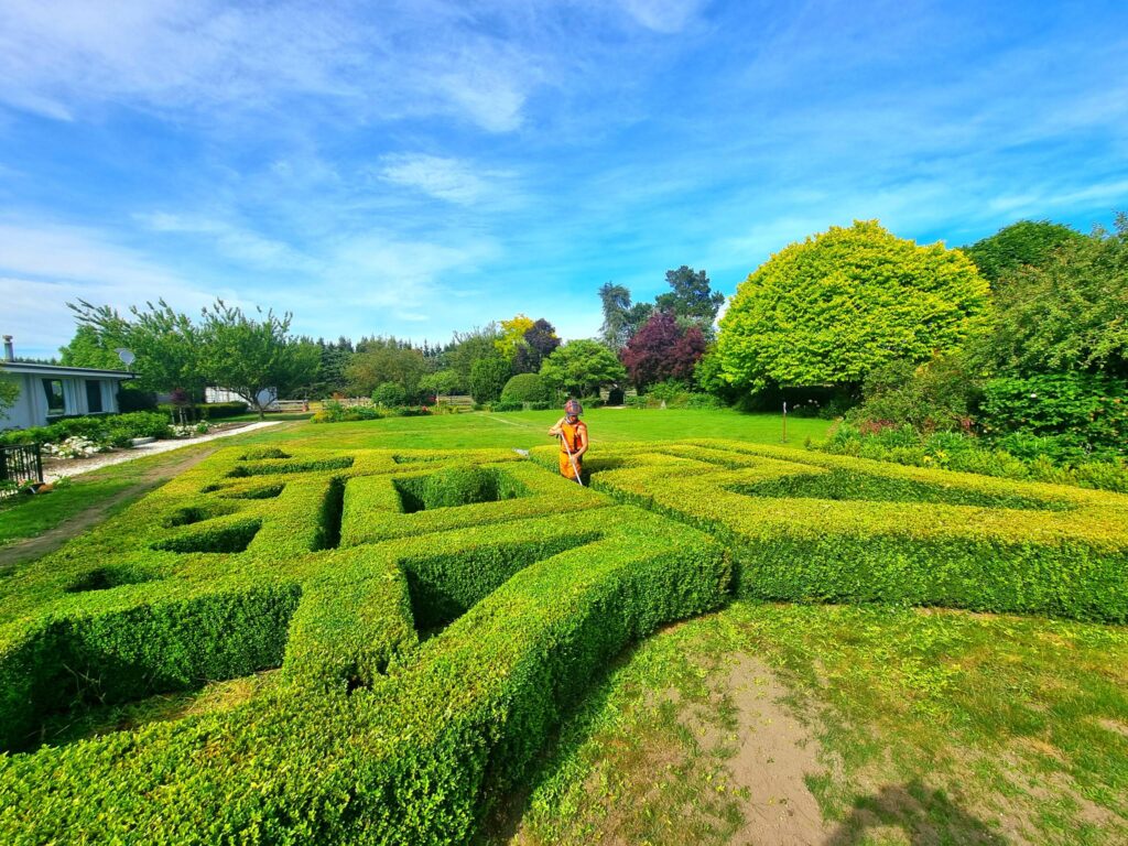 Crew member working among neatly clipped geometric hedges in a formal garden.
