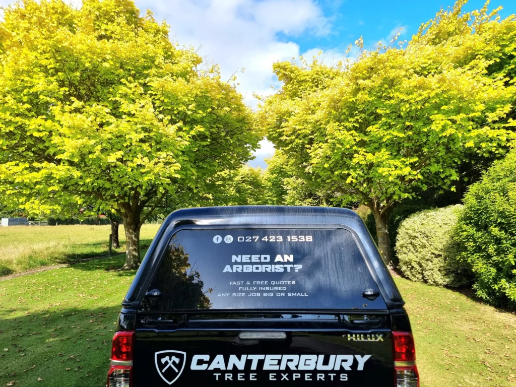 Crown lifted trees providing vehicle access on a Canterbury property