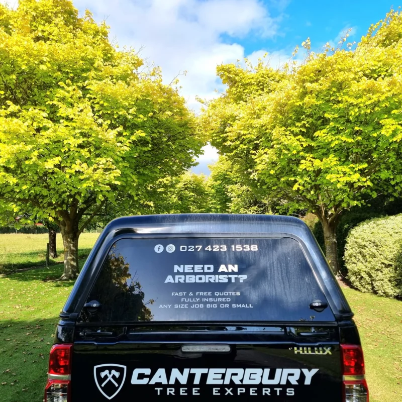 Crown lifted trees providing vehicle access on a Canterbury property