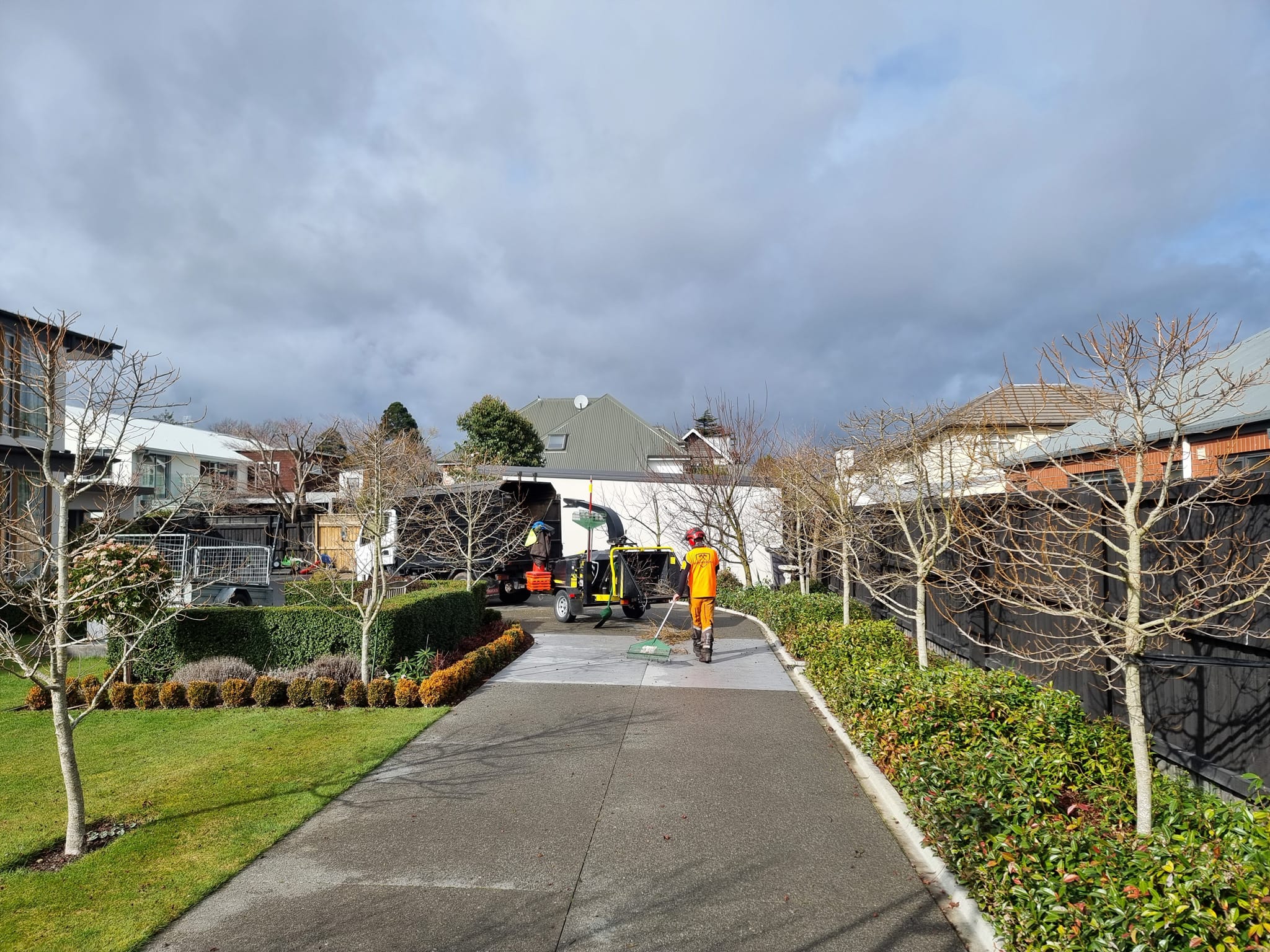 Canterbury Tree Experts crew tidying a driveway beside pruned trees in Christchurch